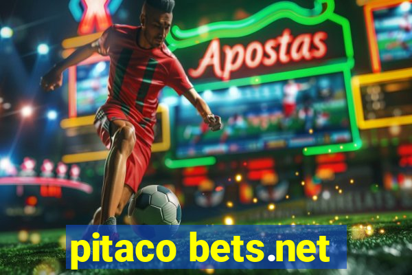 pitaco bets.net