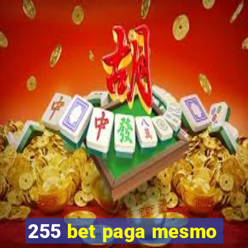 255 bet paga mesmo