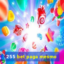 255 bet paga mesmo