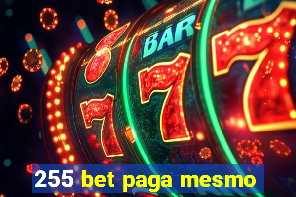 255 bet paga mesmo