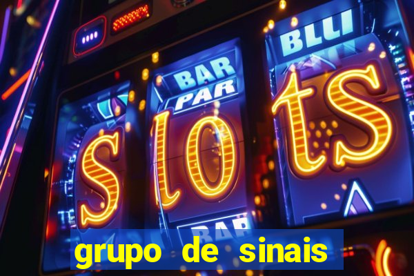 grupo de sinais trader telegram