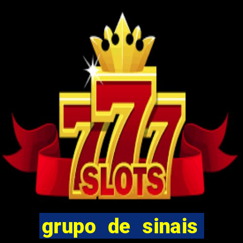 grupo de sinais trader telegram