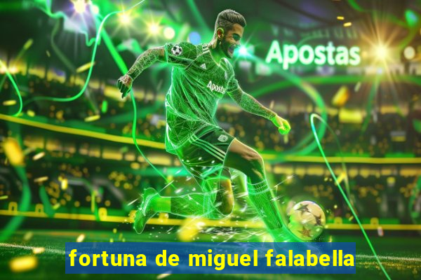 fortuna de miguel falabella