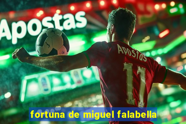 fortuna de miguel falabella