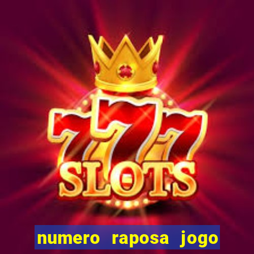 numero raposa jogo do bicho