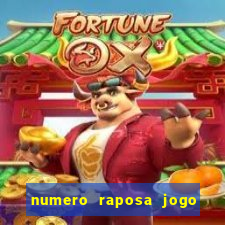 numero raposa jogo do bicho