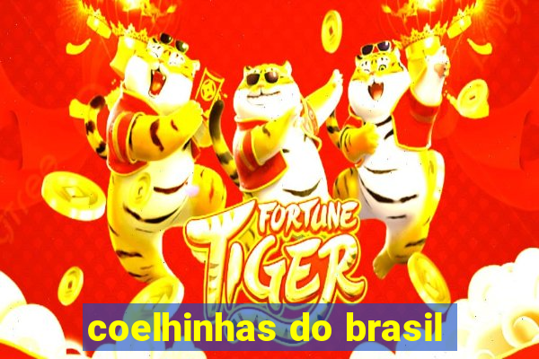 coelhinhas do brasil