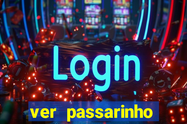 ver passarinho morto significado espiritual