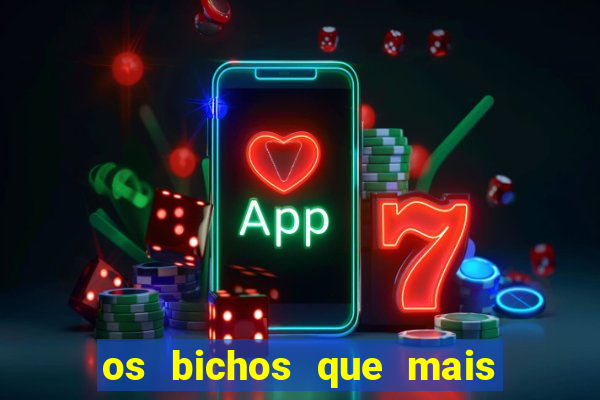 os bichos que mais saem na loteria federal