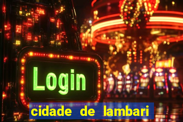 cidade de lambari sao paulo