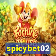 spicybet02