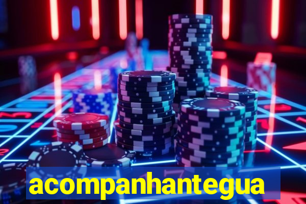 acompanhanteguanambi
