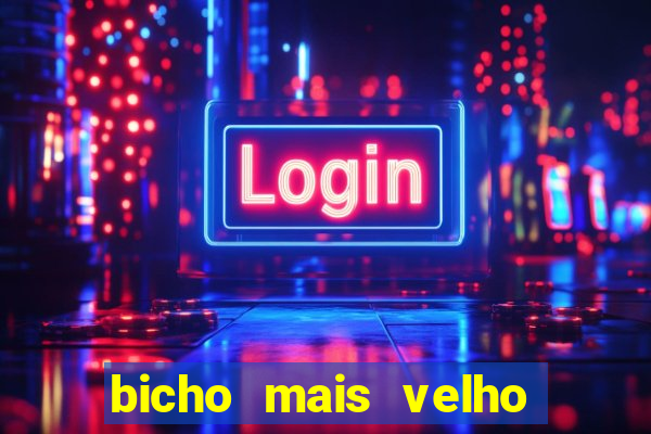 bicho mais velho da loteria dos sonhos