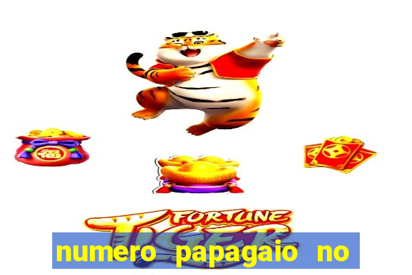 numero papagaio no jogo do bicho