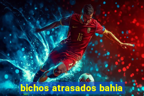 bichos atrasados bahia