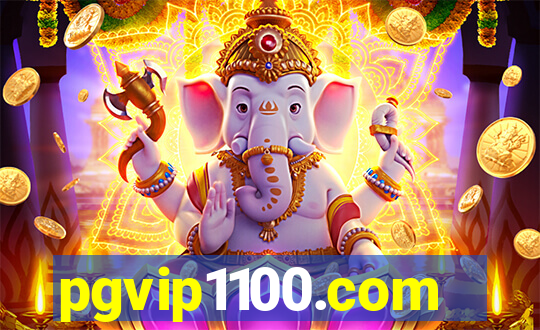 pgvip1100.com