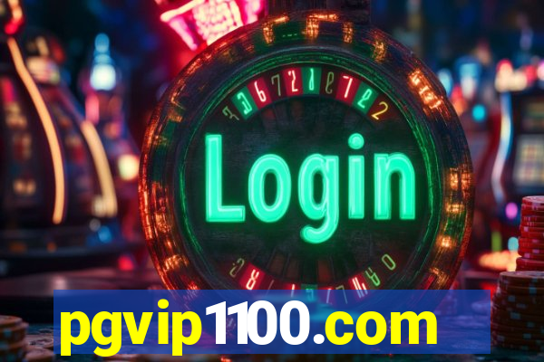 pgvip1100.com