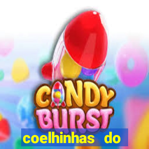 coelhinhas do brasil recife