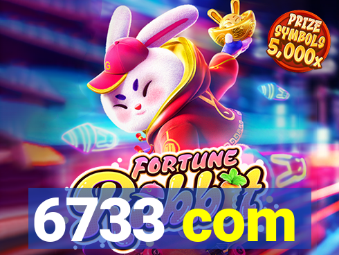 6733 com