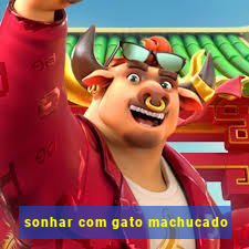 sonhar com gato machucado