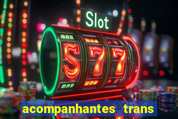 acompanhantes trans porto seguro