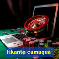 fikante camaqua