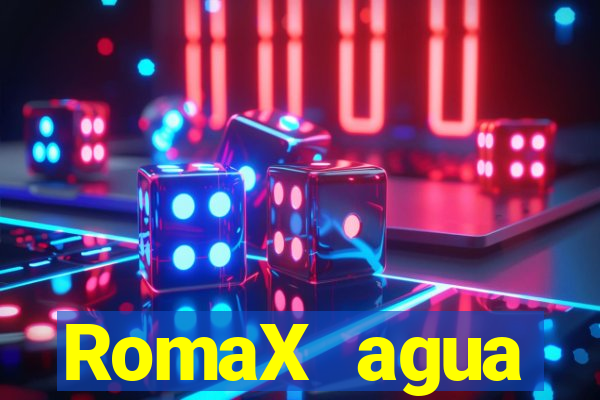 RomaX agua sanitaria fispq agua sanitaria romax