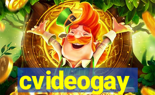cvideogay
