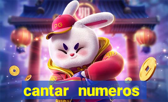 cantar numeros bingo online