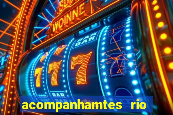 acompanhamtes rio de janeiro