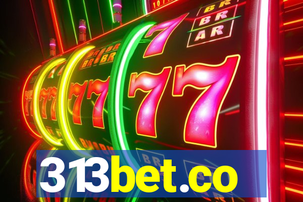 313bet.co