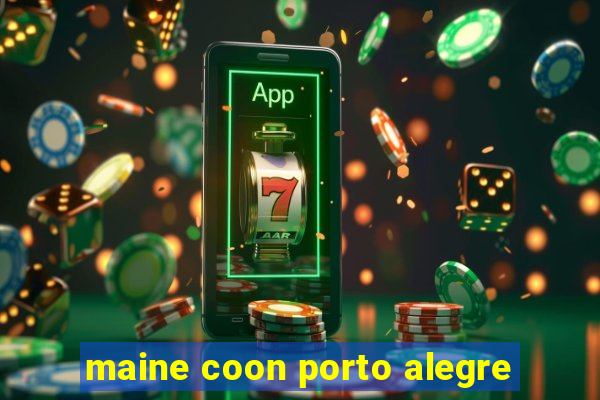 maine coon porto alegre