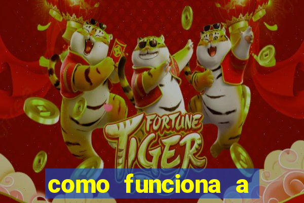 como funciona a quina de grupo no jogo do bicho