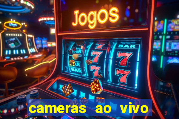 cameras ao vivo beto carrero