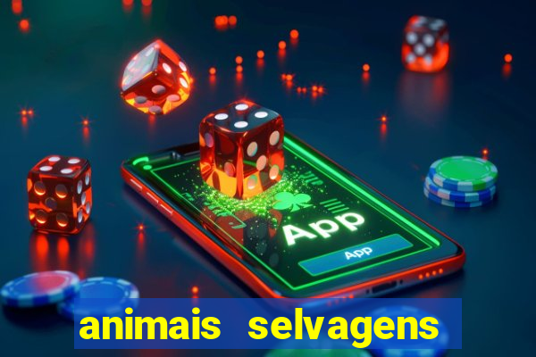 animais selvagens fotos e nomes